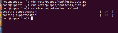 Linux: Instalao e Configurao do Puppet