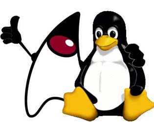 Linux: Java no Ubuntu 11.10