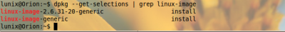 Linux: Deletar kernel antigo para no aparecer no GRUB2