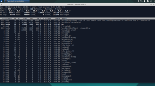Linux: Comandos de exibio de processos no linux.