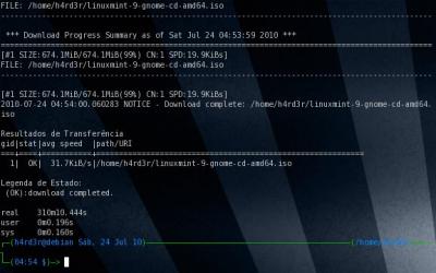 Linux: Acelerando seus downloads com o aria2