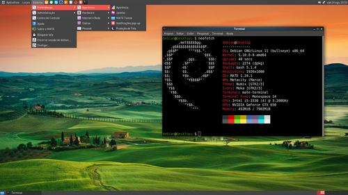 Linux: Debian 11 Bullseye para Inicantes