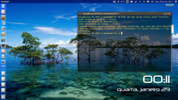 Linux: Soluo para acesso Internet Banking Caixa no Ubuntu 13.10 com Firefox e Java 8