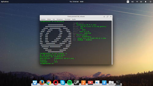 Linux: O que fazer aps instalar Elementary OS 0.4 Loki