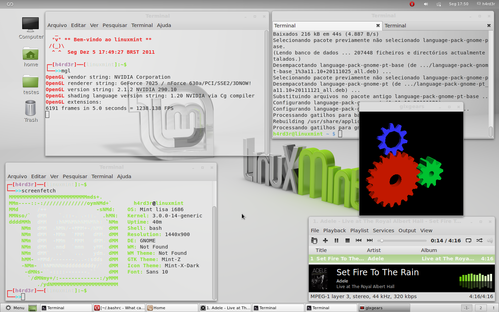 Linux: Algumas 
consideraes sobre o Linux Mint 12 'Lisa' 
