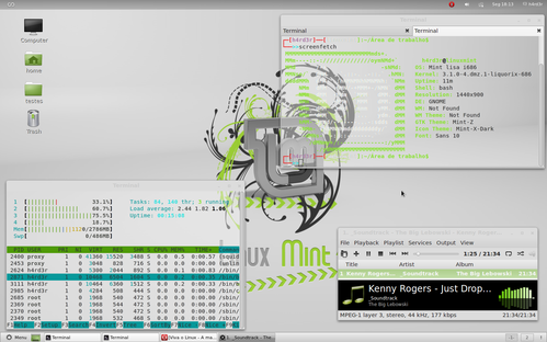Linux: Algumas 
consideraes sobre o Linux Mint 12 'Lisa' 