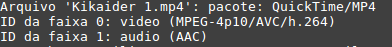 Linux: Um bsico uso do FFMPEG para convero em MP4