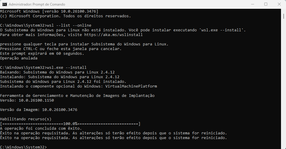 Instalando
