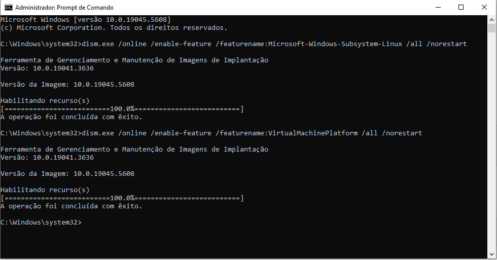 Instalando