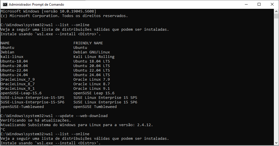 Instalando
