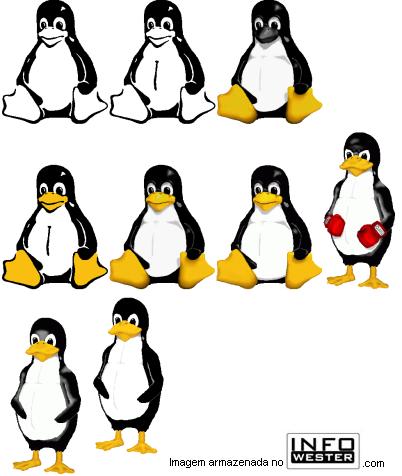 Linux: Porque o mascote do Linux  um pinguim
