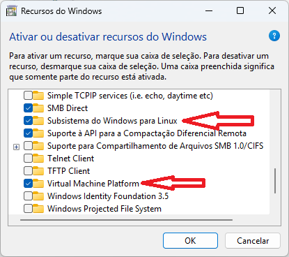 Instalando