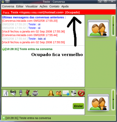 Linux: Um tour pelo skin do Viva o Linux para aMSN
