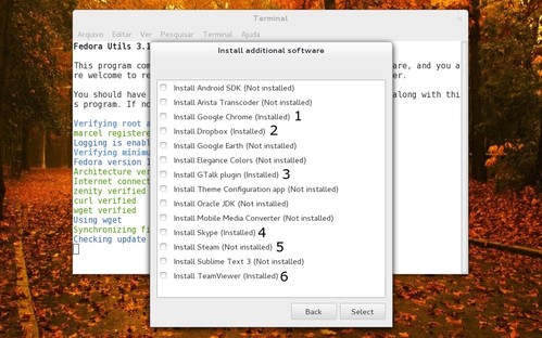 Linux: Ps-instalao do Fedora 19 (GNOME Shell)