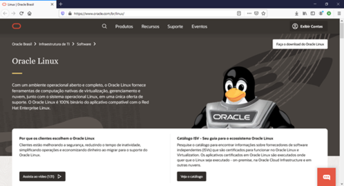 Linux: Melhores distribuições Linux voltadas para servidores