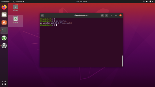 Linux: instalar o Go (golang) no Debian e no Ubuntu
