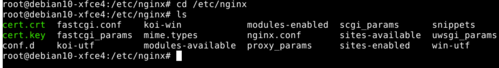 Linux: Configurando Proxy Reverso NGINX com SSL e Apache em Virtual Hosts no Debian