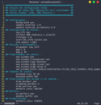 Linux: Conky: Manual traduzido pt-BR