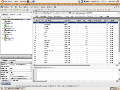 Linux: Instalando o IBExpert no Linux e Acessando o Firebird