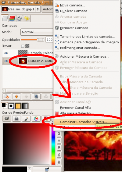 Linux: Gimp - combinar camadas visíveis 