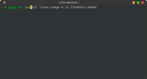 Linux: O bom e velho Xterm