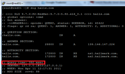 Linux: CACHE DE DNS RHEL 6 (Red Hat Enterprise 6)
