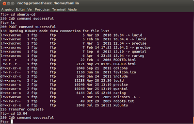 Linux: Baixando arquivos de servidores FTP via linha de comando