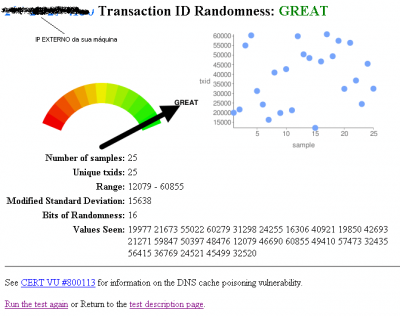 Wow! My DNS is POOR! Vulnerabilidade do DNS (CVE-2008-1447)