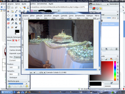Salvando fotos no Orkut mesmo bloqueada