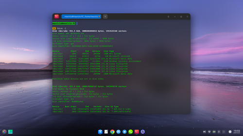 Linux: Comando 'fdisk -l' no funciona como usurio comum no Deepin [Resolvido]