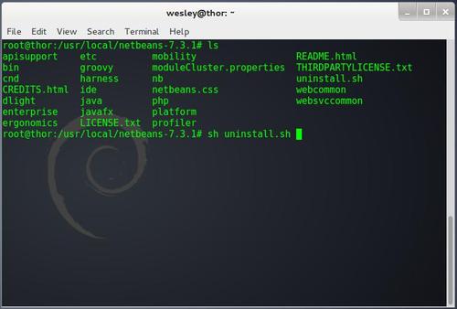 Linux: Desinstalar NetBeans