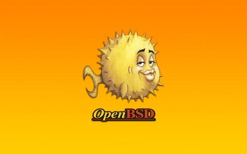Linux: OpenBSD em Dual Boot com Linux (Partio nica)