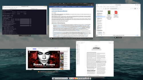 Linux: Dock no Cinnamon