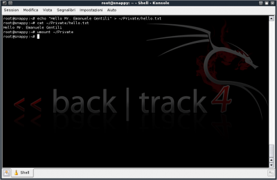 Linux: BackTrack 4 e Criptografia de Pasta