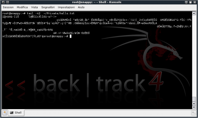 Linux: BackTrack 4 e Criptografia de Pasta