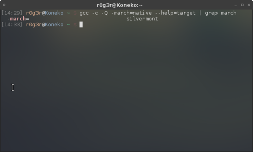 Linux: OTIMIZAO GCC (DESCOBRINDO QUAL  O MODELO DO SEU PROCESSADOR)
