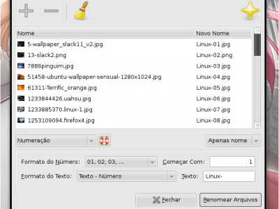 Linux: Renomeie varios arquivos com o Thunar!