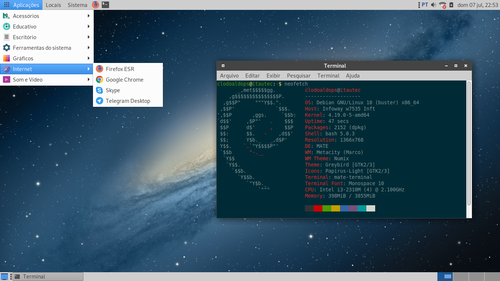Linux: Instalando Google Chrome e Skype no Debian 10 Buster 