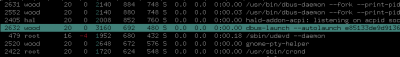 Linux: Resolvendo bug do dbus-launch no Pidgin