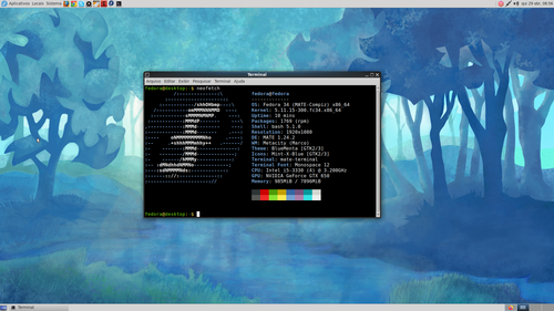 Linux: O que fazer aps instalar Fedora 34