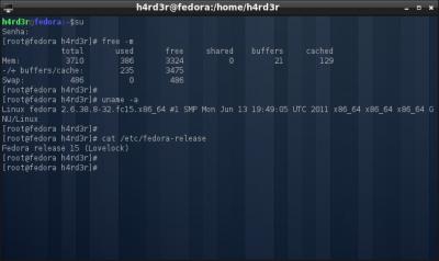 Linux: Boot lento no Fedora 15?