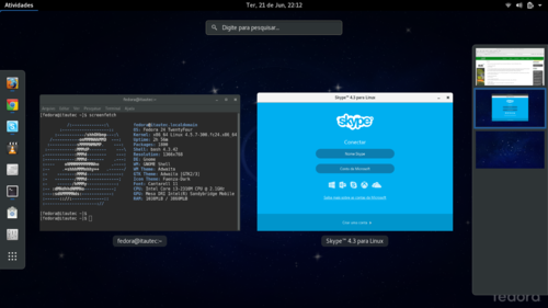 Linux: Instalando Skype e Google Chrome no Fedora 24 