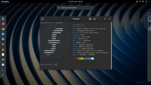 Linux: O que fazer aps instalar Fedora 30 Worksatation