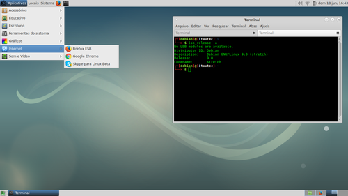 Linux: Instalando Google Chrome e Skype no Debian 9 Stretch 