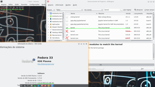 Linux: Removendo kernel antigo no Fedora 33 sem digitar comandos no terminal.