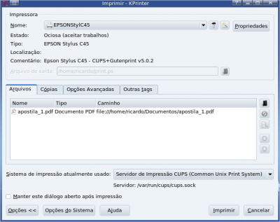 Imprimindo documentos em PDF bloqueado