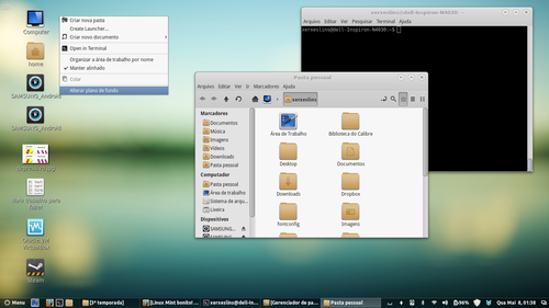 Linux: Linux Mint bonito!