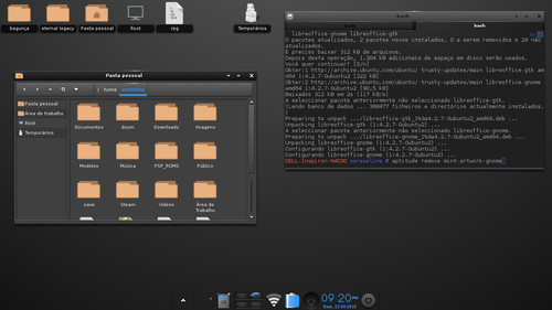 Linux: Linux Mint 17.1 com Bodhi Desktop (Enlightenment)