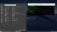 Linux: Instalando navegador Opera Stable no Linux Mint 19 e LMDE 3