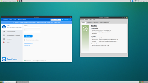 Linux: Instalando TeamViewer no Linux Mint 22